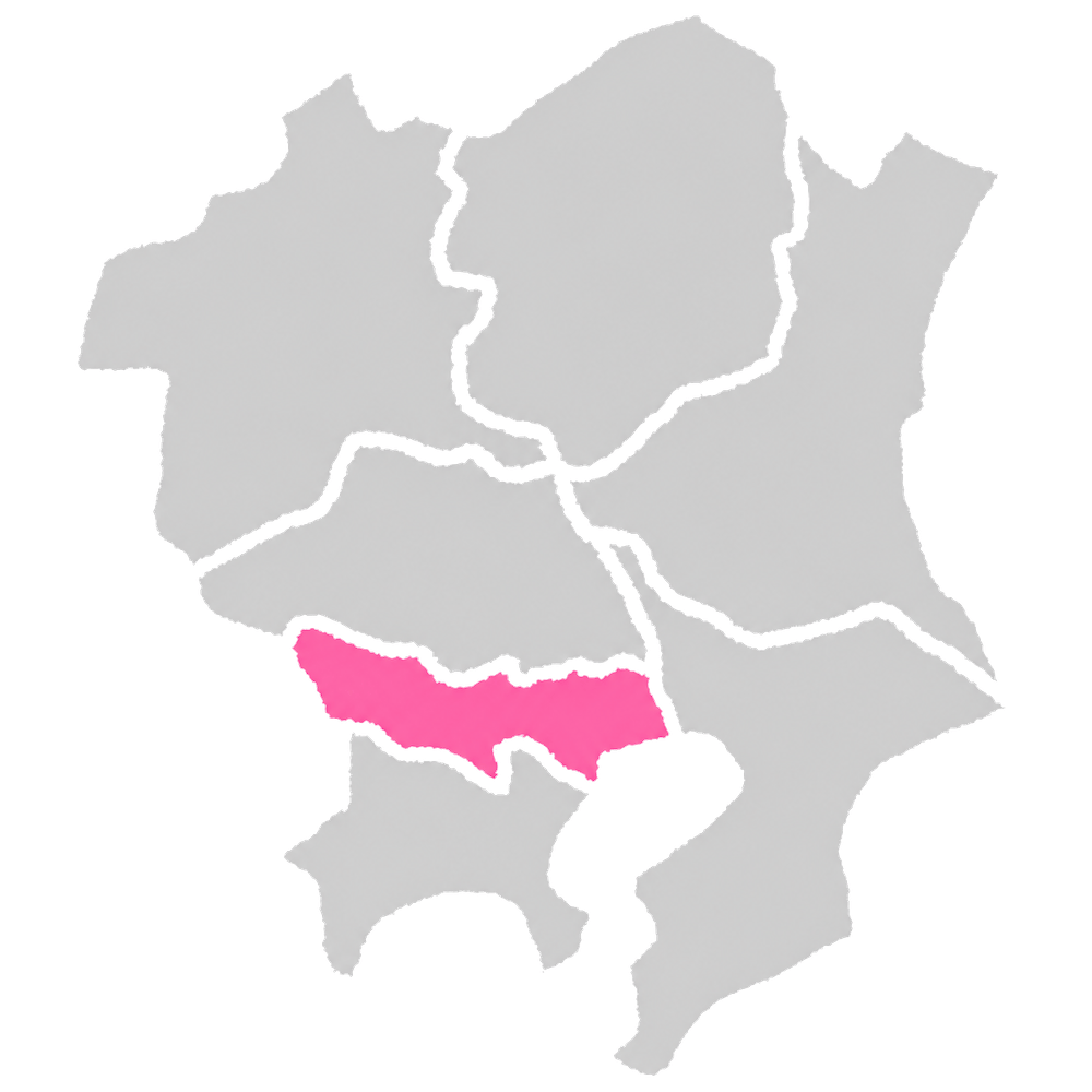 東京都を中心とした地図